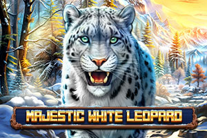 Majestic White Leopard